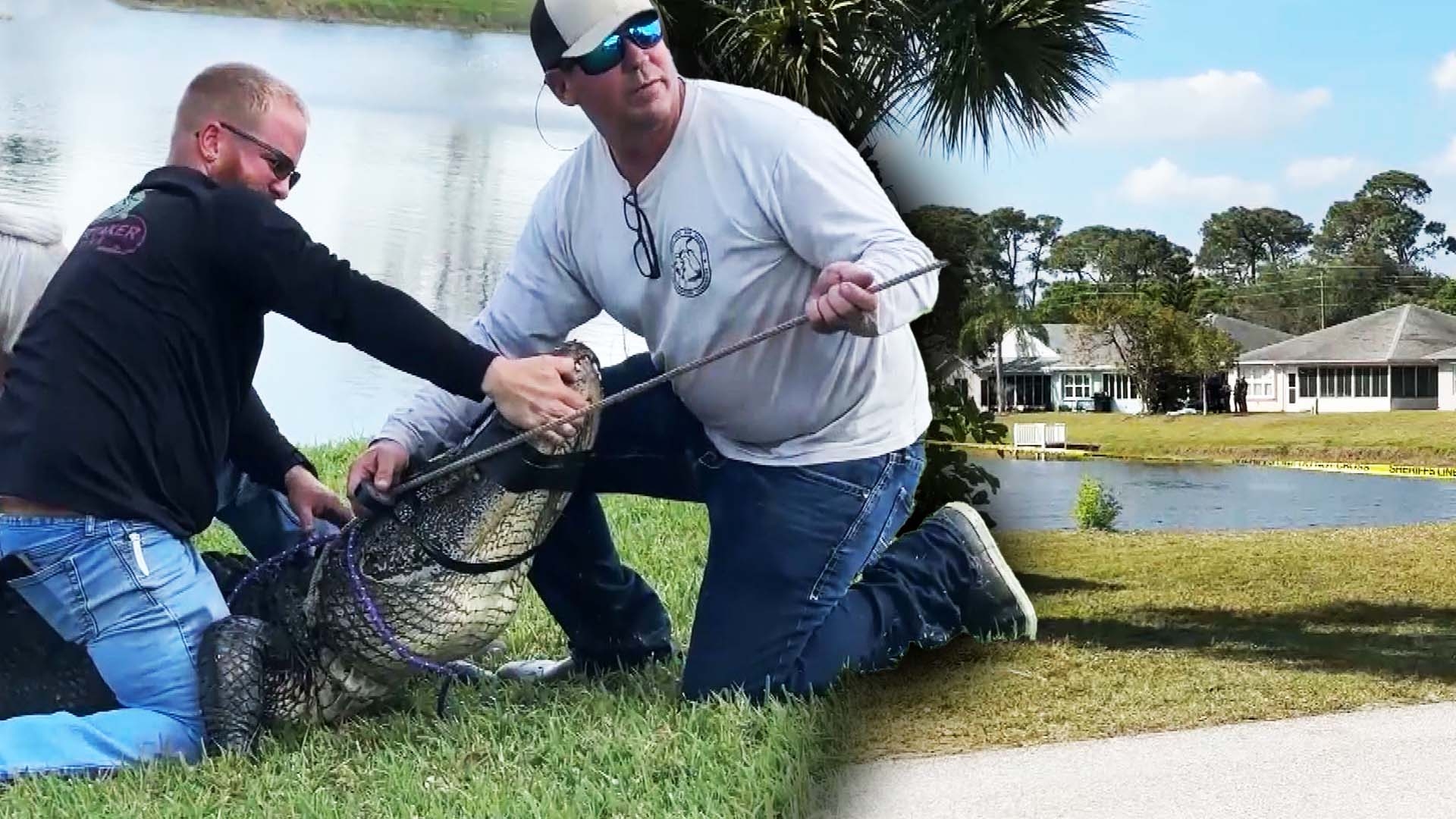 On camera, 85-year-old Florida woman killed by alligator while trying to  protect her dog